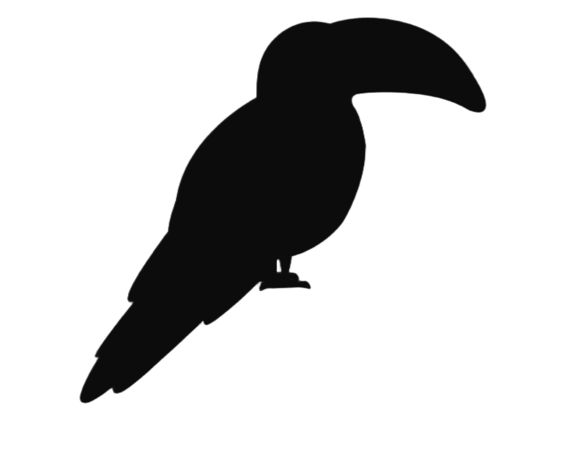 GitHub Repo: chirpy (light mode)